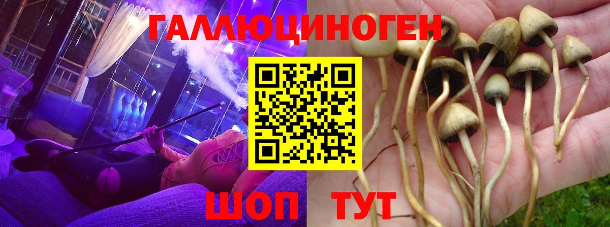 Псилоцибиновые грибы MAGIC MUSHROOMS  цена наркотик  Каменск-Шахтинский  Вход с VPN 
